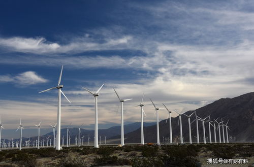 垃圾電還是印鈔機(jī)？風(fēng)力發(fā)電的國(guó)內(nèi)外發(fā)展差異